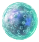celulamadrepeque1