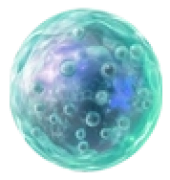 celulamadrepeque1