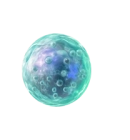 celulamadrepeque2
