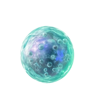 celulamadrepeque2