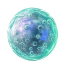 celulamadrepeque3