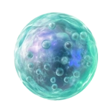 celulamadrepeque3