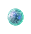celulamadrepeque4
