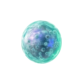 celulamadrepeque4