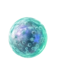 celulamadrepeque5